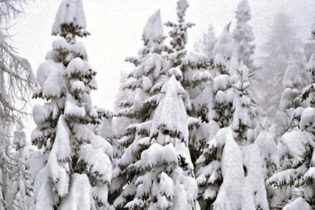 Residence-resort Borgo Al Sole Hotel apartamentowy