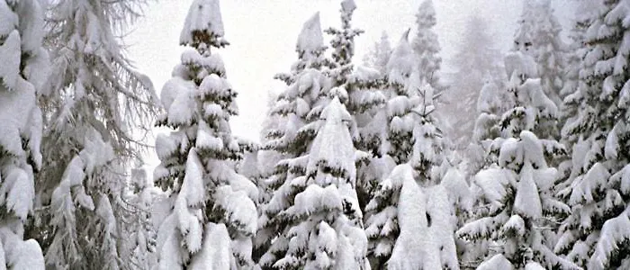 Residence-resort Borgo Al Sole Apartmanhotel