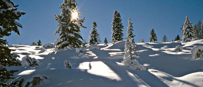 Residence-resort Borgo Al Sole 3*